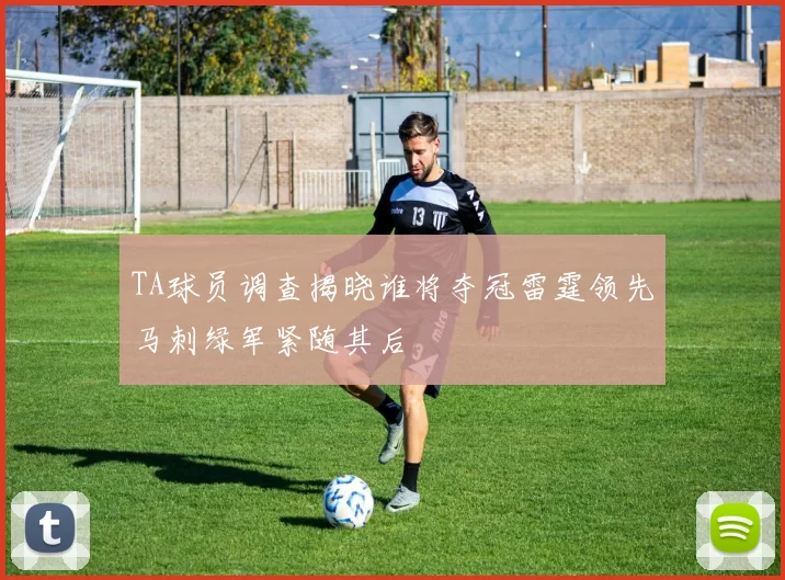 TA球员调查揭晓谁将夺冠雷霆领先马刺绿军紧随其后